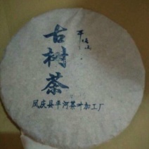 老树茶