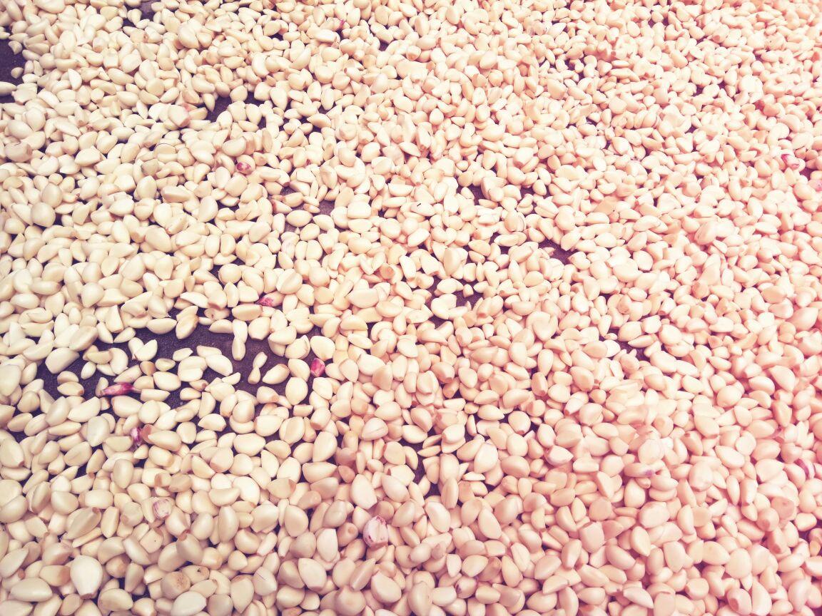 一碗洁白细腻的蒜泥放置于竹垫上，旁边是石质蒜臼与木槌，前景可见残余蒜渣