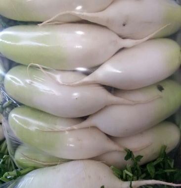 露头青萝卜 1~1.5斤起