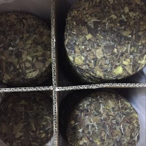 福鼎白茶
