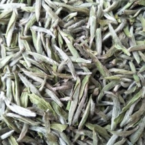 福鼎白茶特级