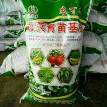 穴盘72孔