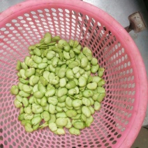豆瓣