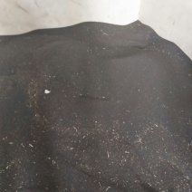 菜籽1货品保证，水分干，无杂物，颗粒饱满。系列