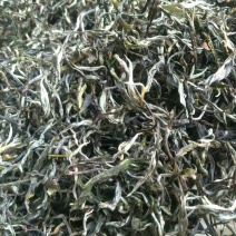 普洱茶二级