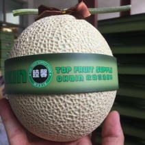 网纹瓜