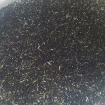 油菜籽1