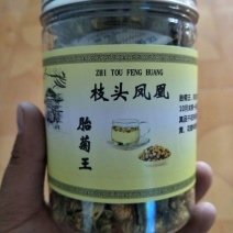 菊花茶特级