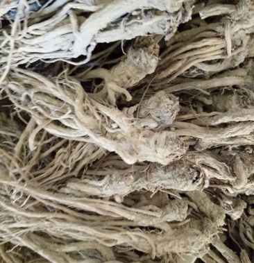 岷县地产药材当归小货药厂小当归