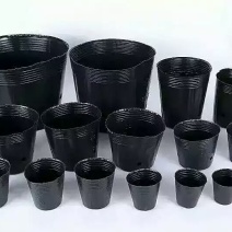 黑色营养杯抗老营养钵塑料育苗杯柑橘苗杯育苗盆育苗袋无纺布