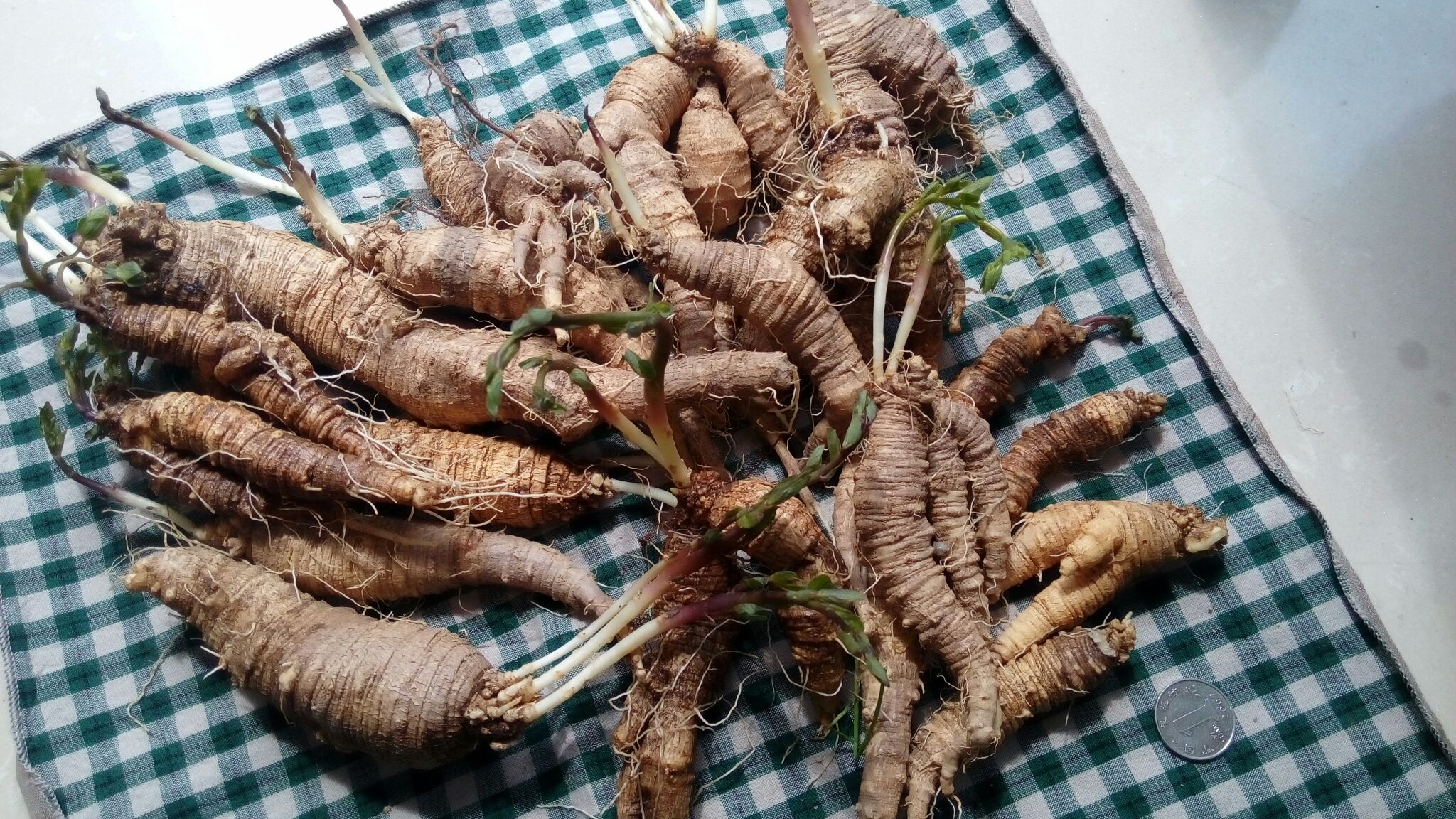 女性不同阶段补气食材选择建议