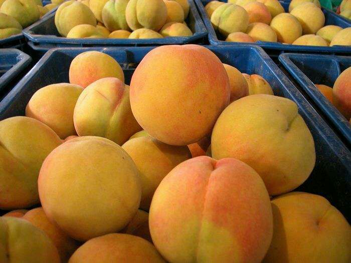 83黄桃市场销售场景