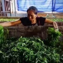 普洱茶一级