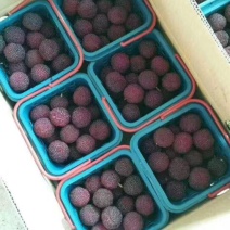 龙海杨梅