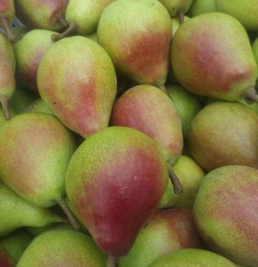 红梨,一面红,大头梨,红梨,产地直供,诚信经营