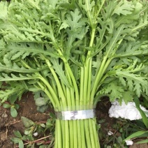 蒿子杆