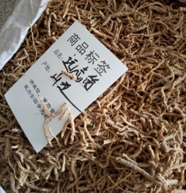 远志 产地直销量大从优 一手货源