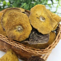 松蘑特级