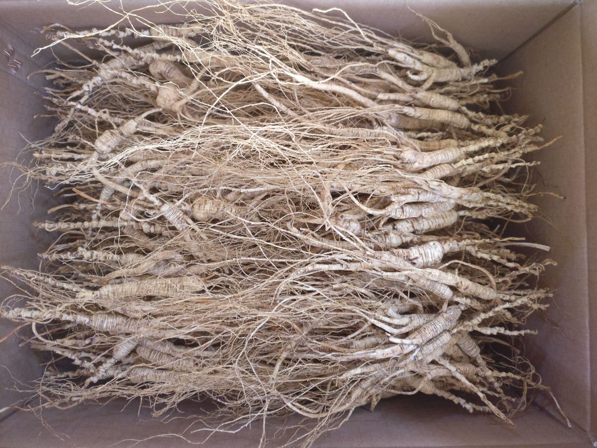 冷藏保存示意图