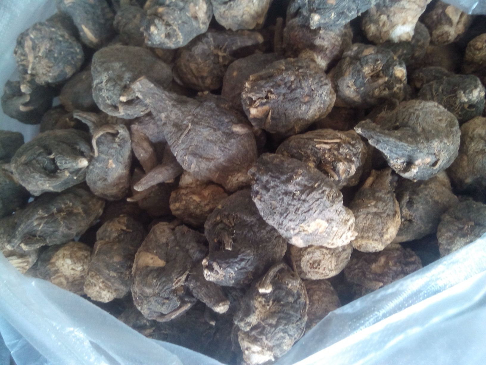 生长在安第斯山脉高海拔地区的黑玛卡植株,展示其绿色羽状叶片与深色块根。背景为高山环境,土壤贫瘠,气候寒冷。根部切开可见深紫色至近黑色的内部组织,质地坚实,表面粗糙带有须根痕迹 黑玛卡植株与根茎特写
