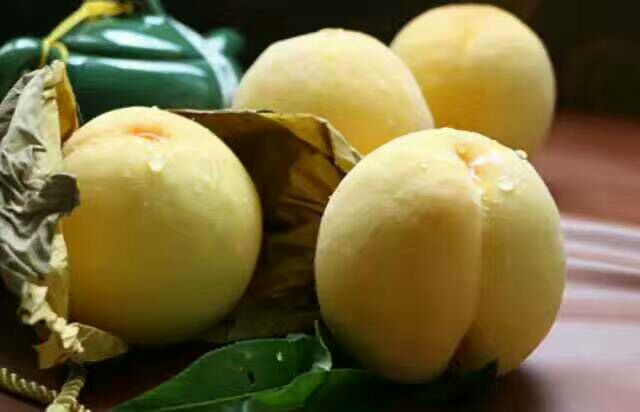 炎陵黄桃高清图