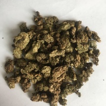 青钱柳茶特级