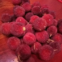 杨梅1.5~2cm