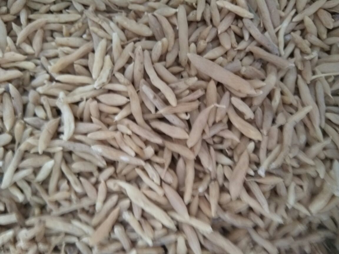 北沙参的几种常见食用方式展示图