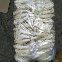 短裙竹荪一级