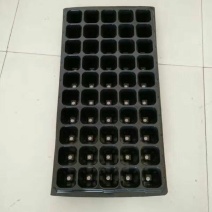 穴盘50孔