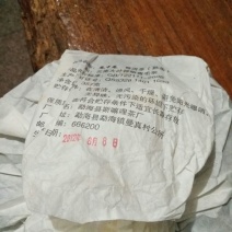 普洱茶一级
