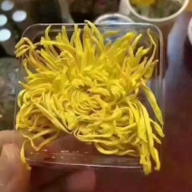 皇菊茶特级