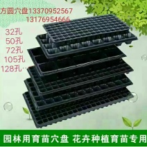 穴盘128孔