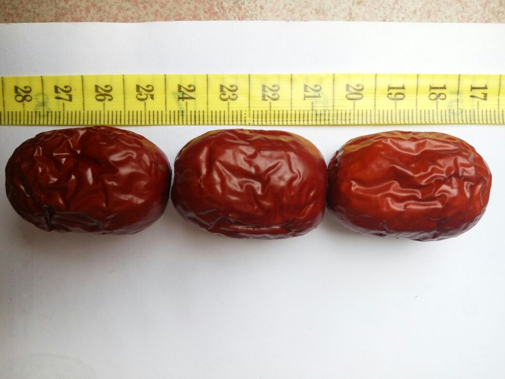 两颗去核若羌灰枣特写，红枣呈深红褐色，表面微皱有光泽，置于白色陶瓷碟中，旁边用不锈钢厨房秤显示重量为5.8g