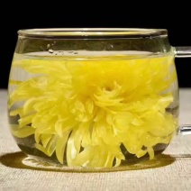 皇菊茶