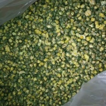 菊花茶特级