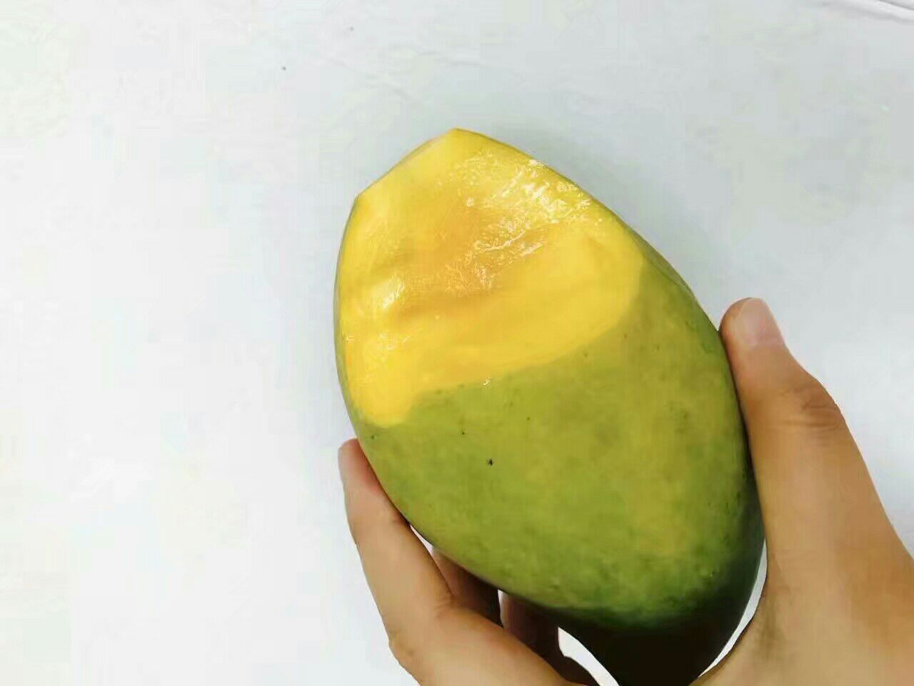 挑选鹰嘴芒果时用手轻捏判断成熟度