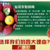 杨梅3~4cm