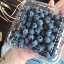 蓝莓
