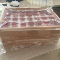 东魁杨梅