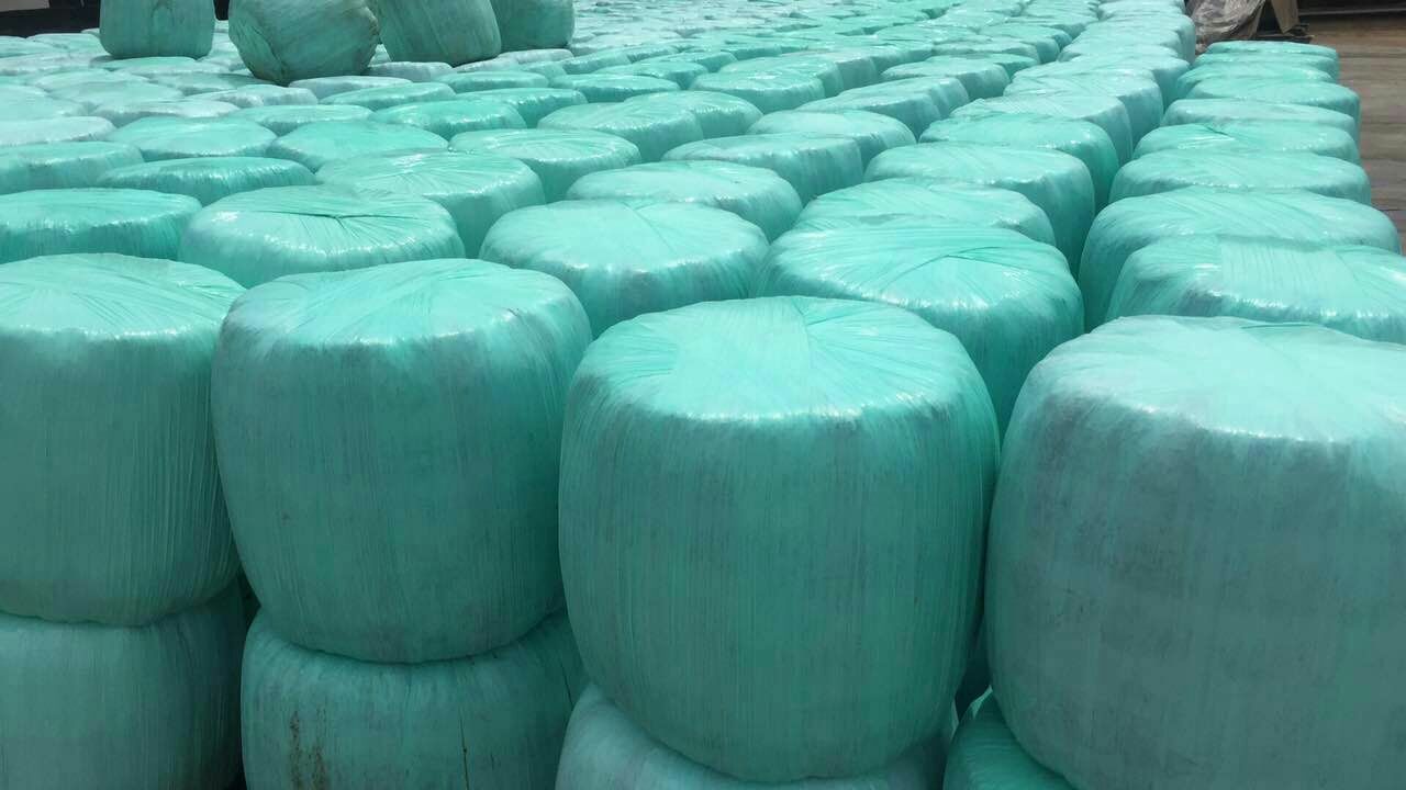 田野中的现代化牧场,多个灰色圆形裹包青贮整齐排列,一名工人正在用机械臂撕开其中一个裹包,露出内部深绿色的发酵饲料,输送带正将物料送往TMR车辆,天空晴朗,环境整洁 大型牧场中工人正在打开裹包青贮并将其送入输送带准备投喂