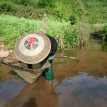 干虾