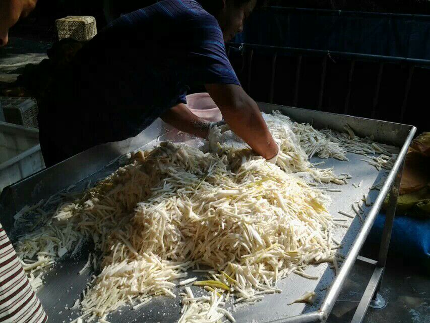 厨房操作台上摆放着已剥壳的绿竹笋、正在焯水的锅具、冷却中的竹笋片及密封冷冻袋