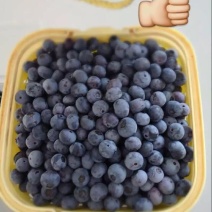 蓝莓