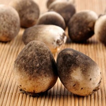 鲜草菇90%特级