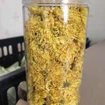 菊花茶一级