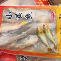 小黄鱼