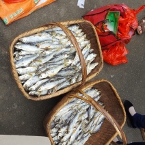 火焙鱼稻谷香味