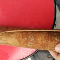 桂皮散装大通