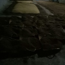 酒糟